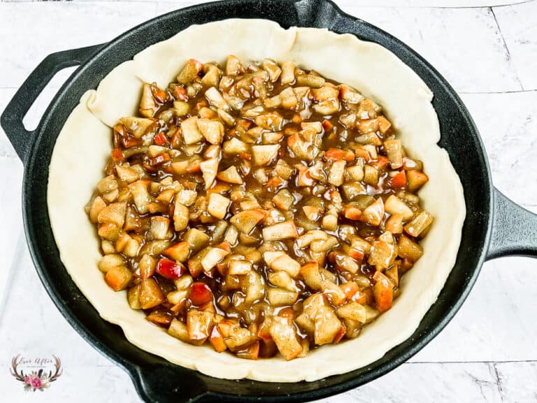 Apple Skillet Pie Ever After in the Woods