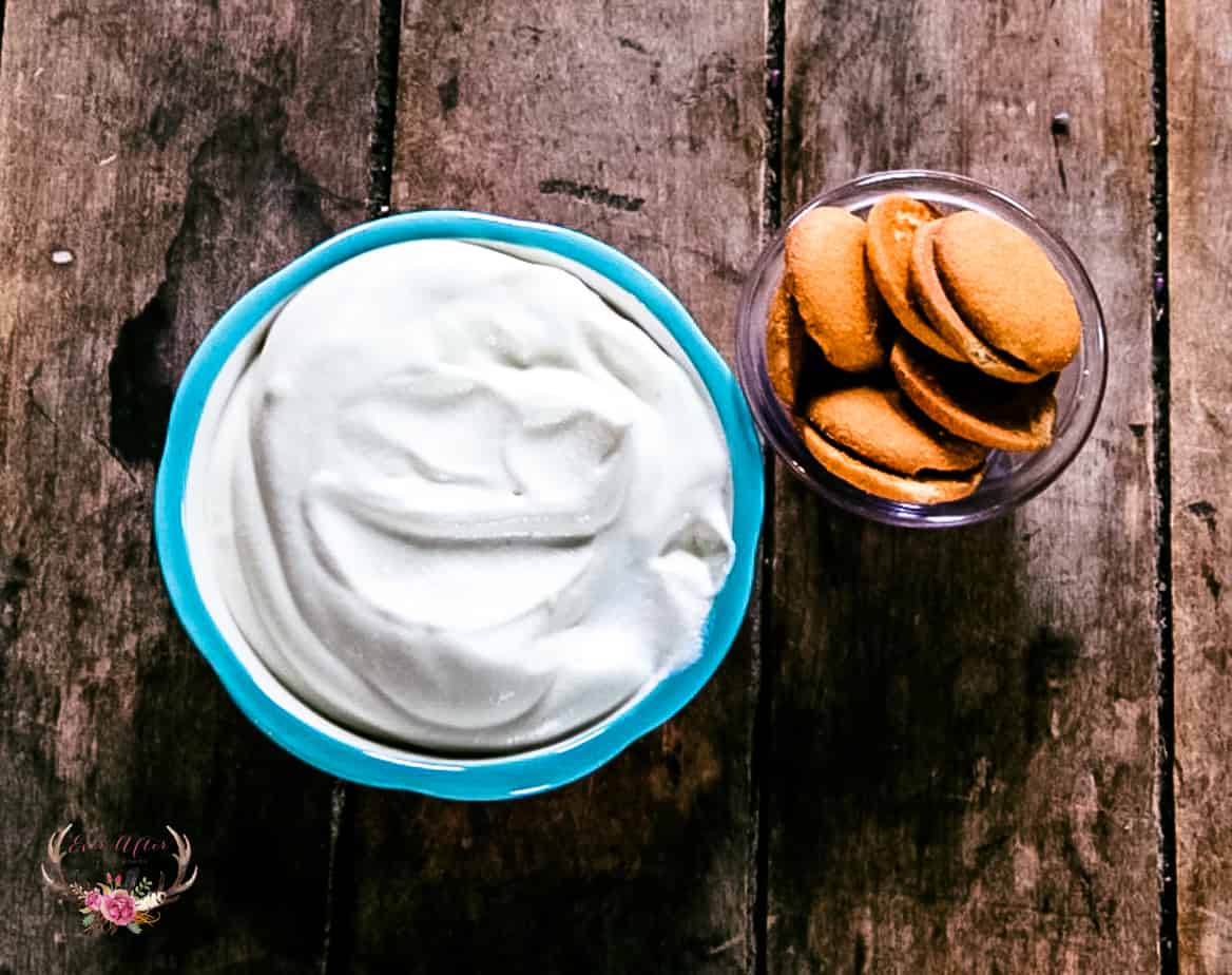 banana pudding dip blue rim bowl