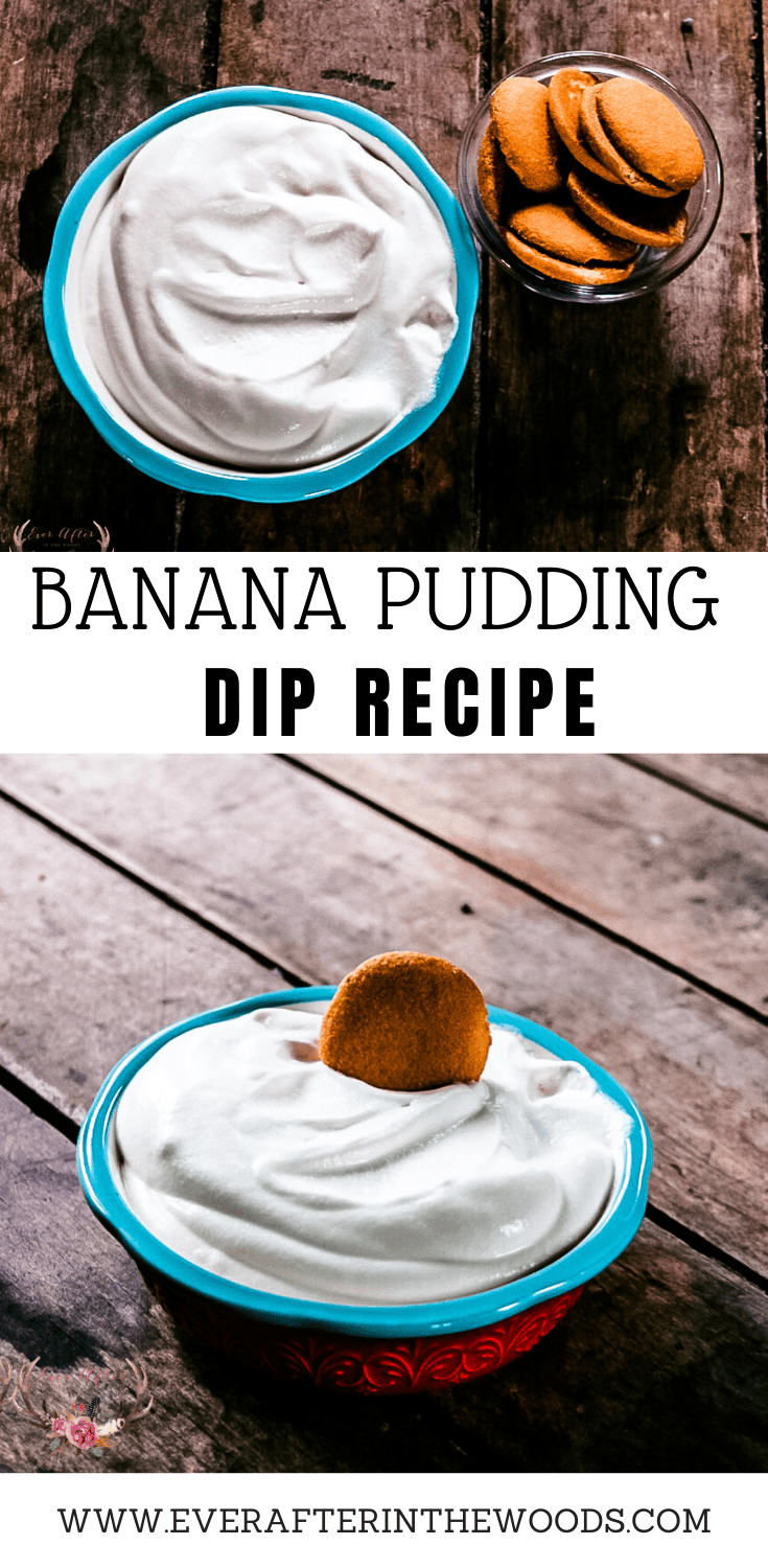 banana pudding dip blue rim bowl
