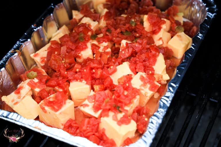 Smokey BBQ Chorizo Queso Dip