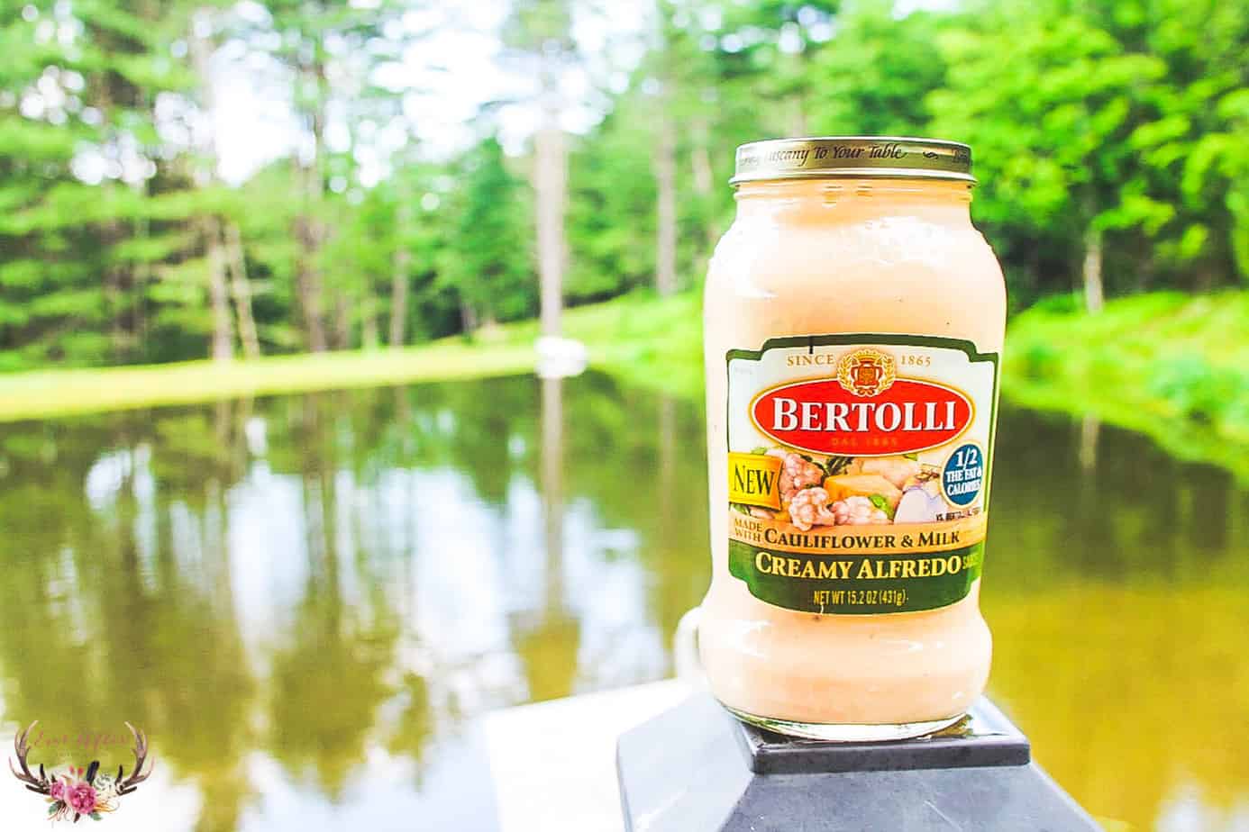 bertolli sunday suppers