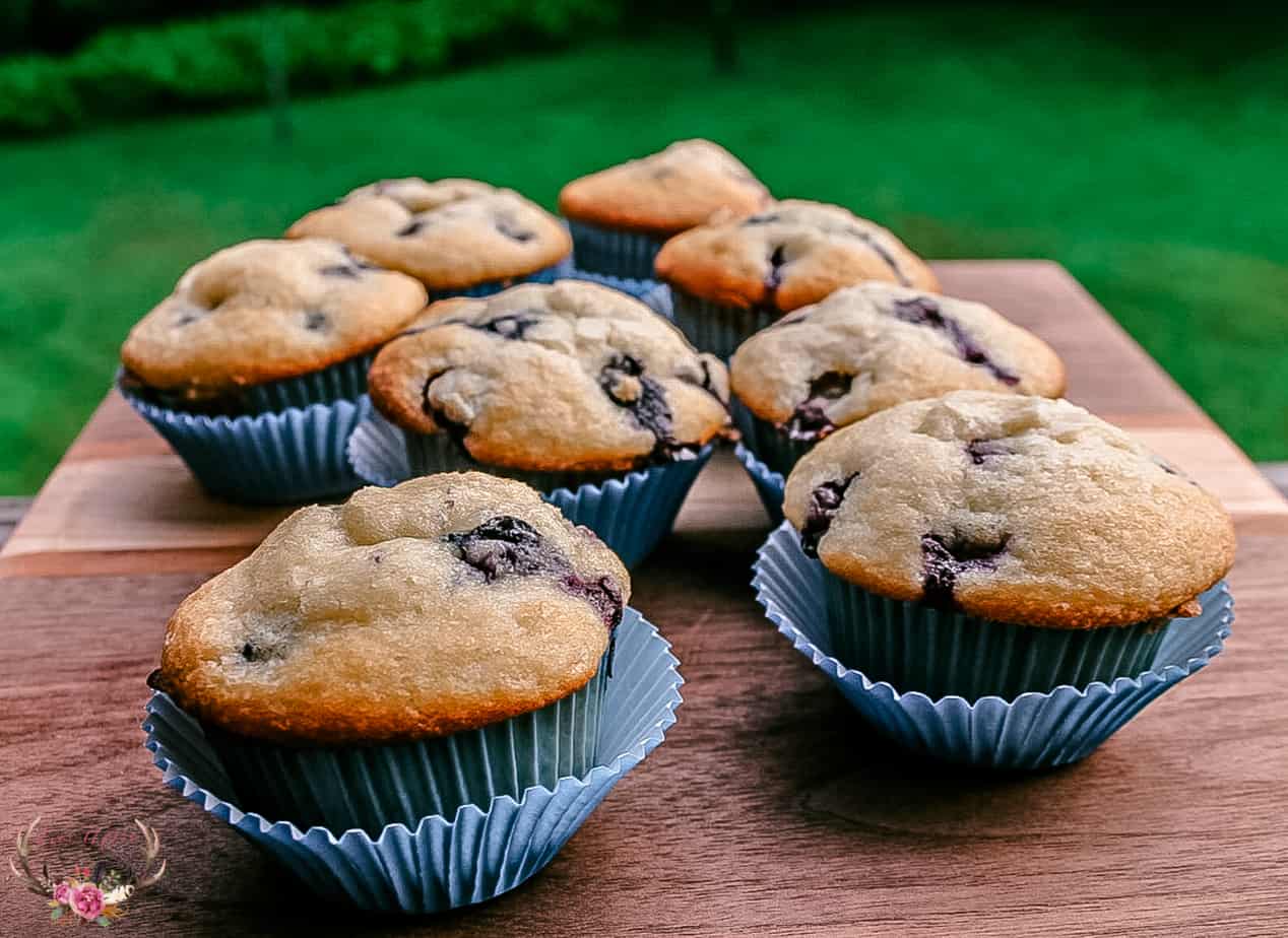 homemade blueberry muffins