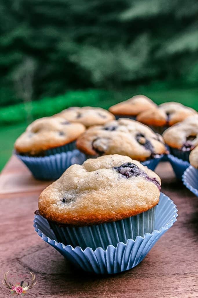 Bakery Style Blueberry Muffins Ever After in the Woods