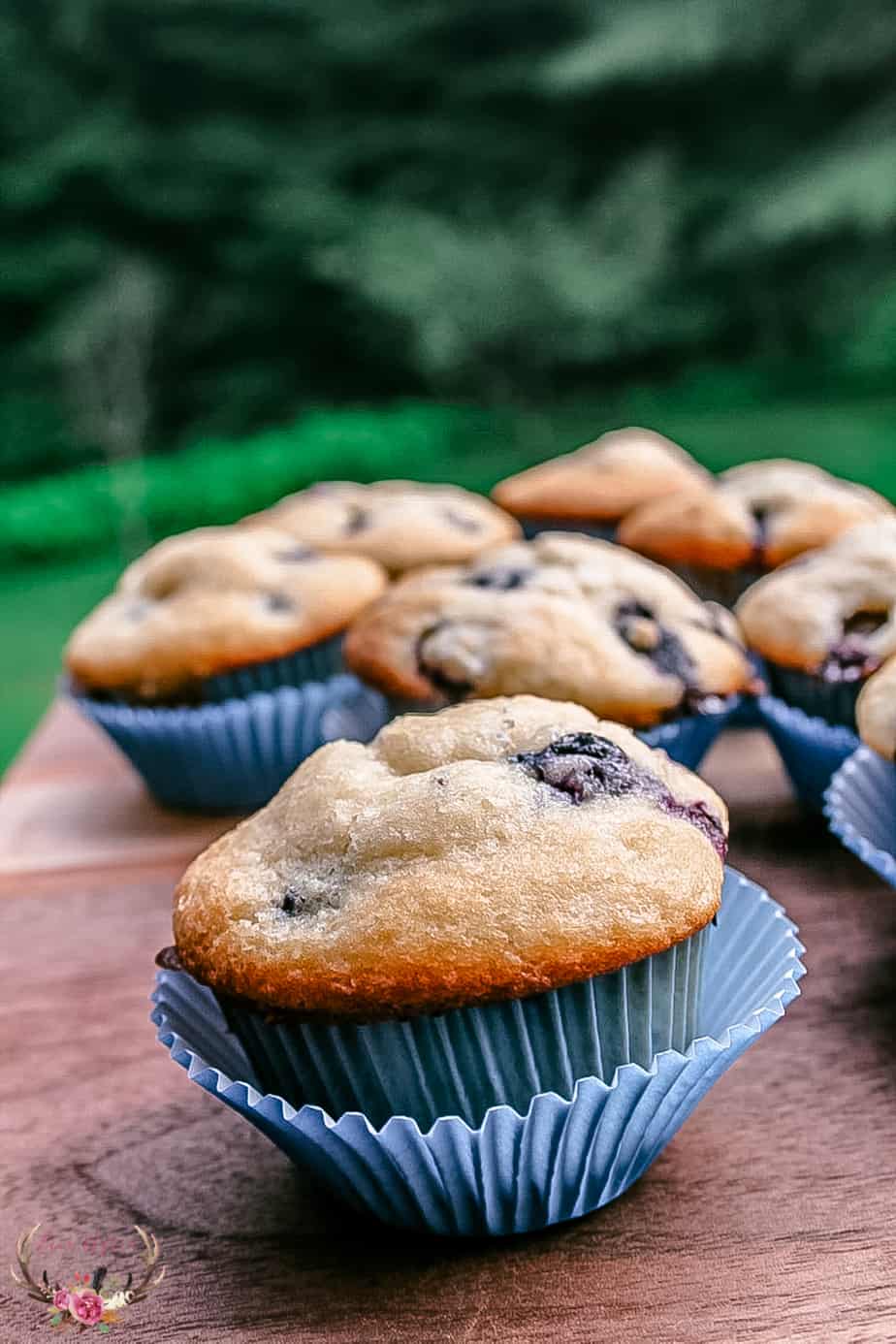 blueberry muffin from scratch