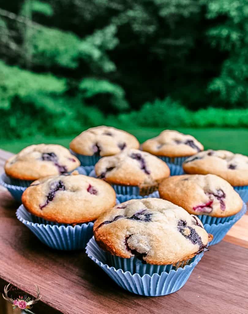 Bakery Style Blueberry Muffins Ever After in the Woods