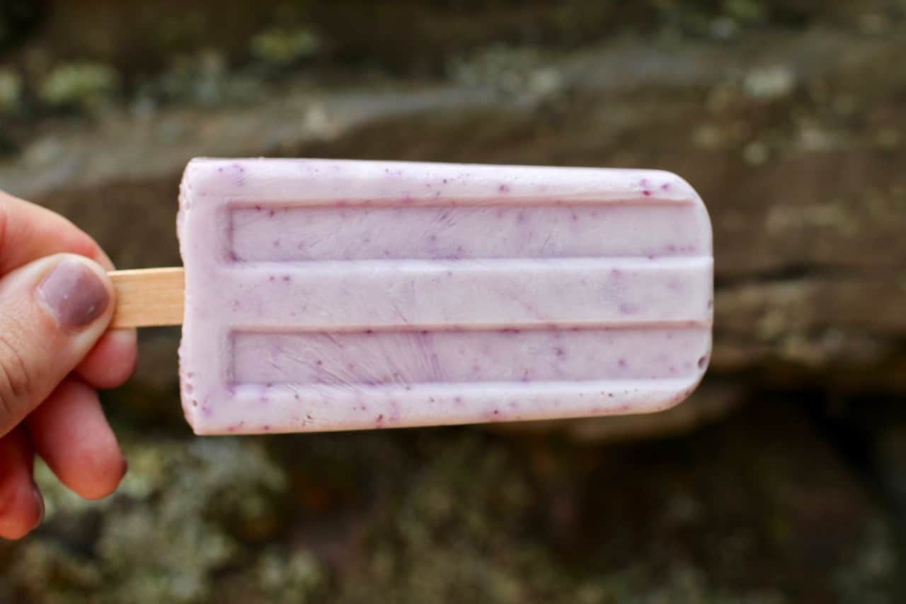 blueberry almond ice pops with no added sugar