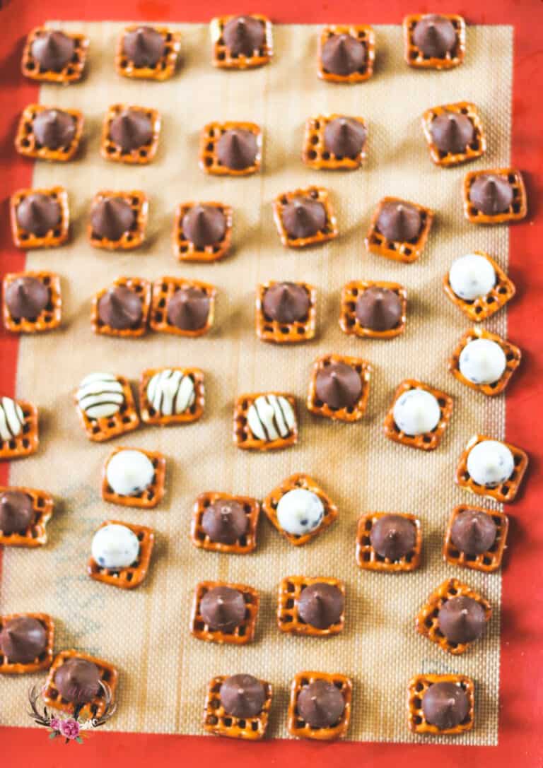 Adorable Bunny Chocolate Pretzel Bites Ever After in the Woods