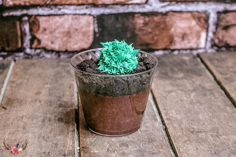 cactus themed dessert birthday party