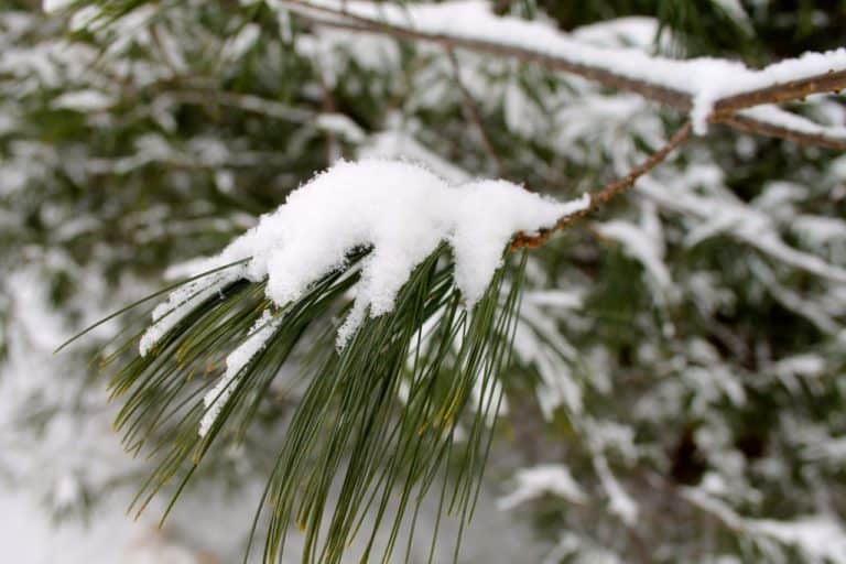 winter prep for your car