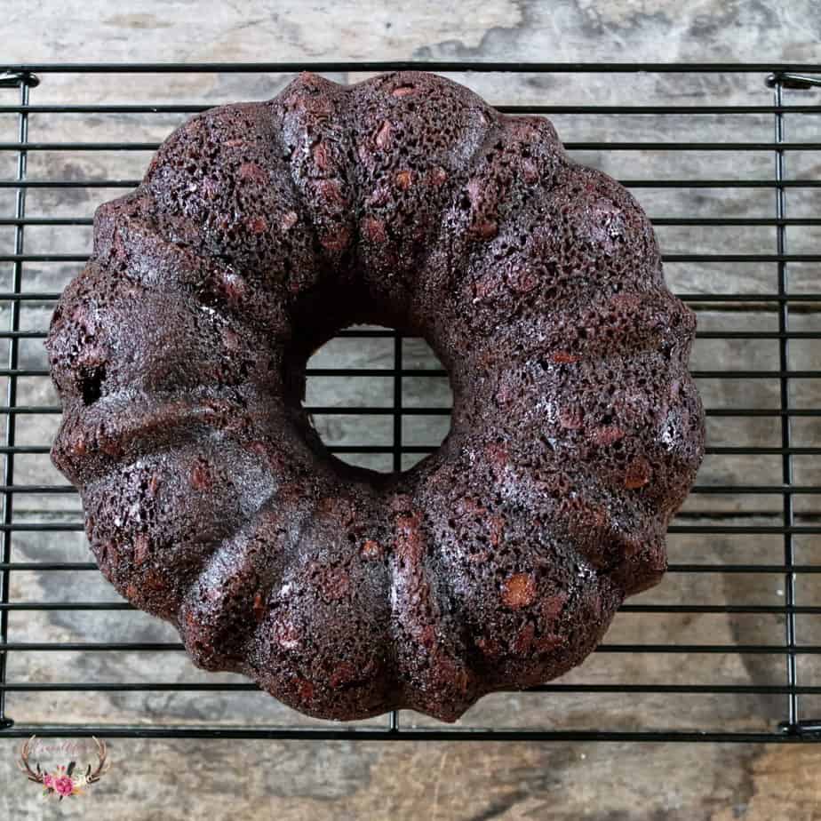 The Pioneer Woman Top Secret Chocolate Cake Ever After in the Woods