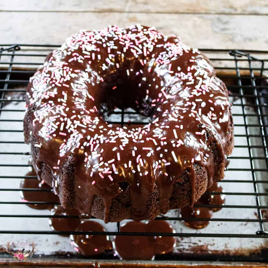 The Pioneer Woman Top Secret Chocolate Cake Ever After in the Woods