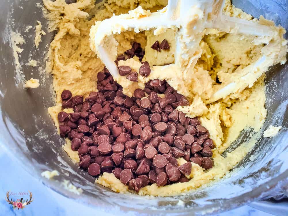 Chocolate Chip Cookie Bowls