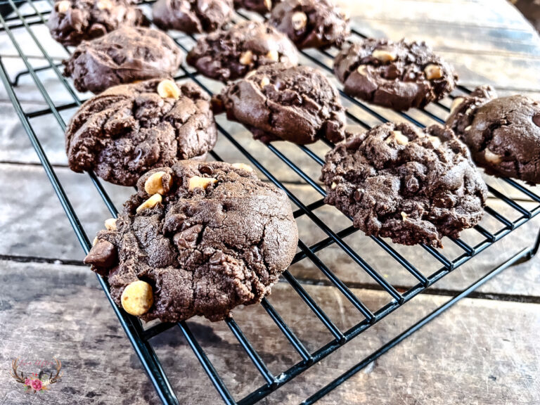 Double Chocolate Chip Peanut Butter Cookies