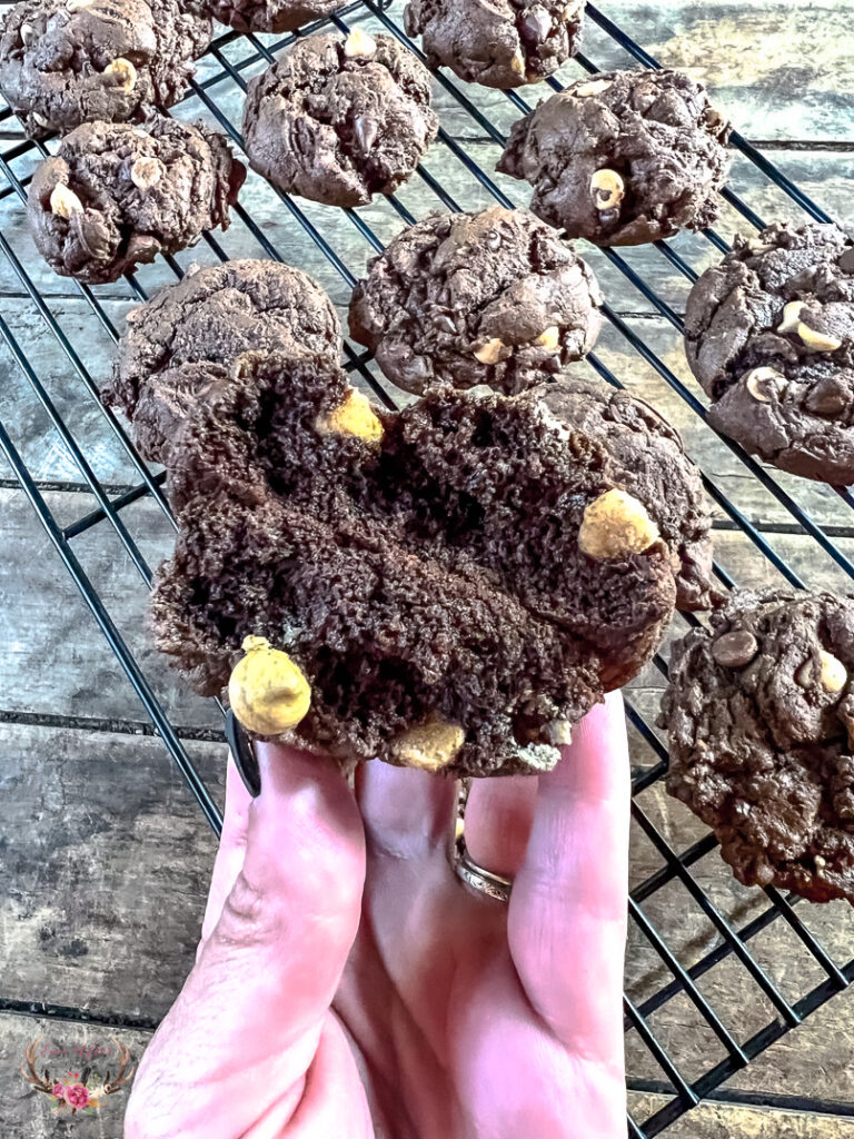 Double Chocolate Chip Peanut Butter Cookies