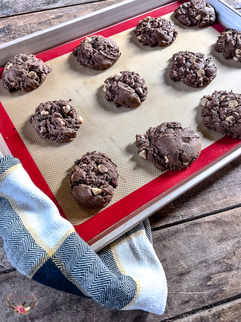 Double Chocolate Chip Peanut Butter Cookies