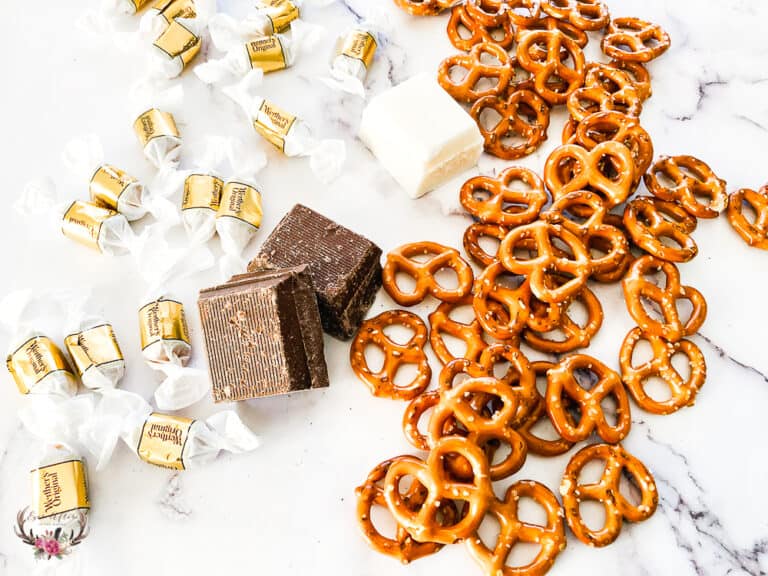 Chocolate Caramel Coated Pretzels Ever After in the Woods