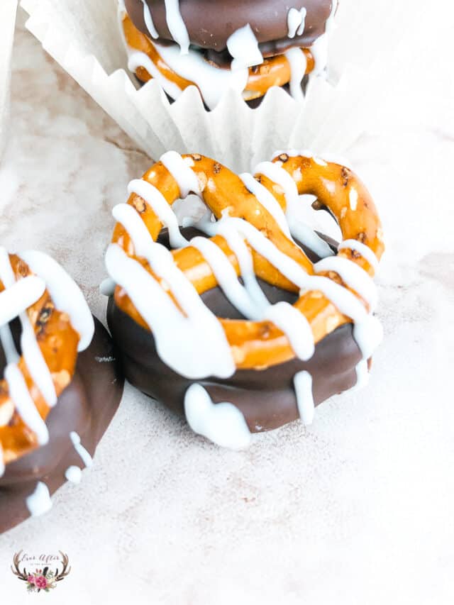 Chocolate Caramel Coated Pretzels Ever After In The Woods   Chocolate Pretzel Caramel 20 640x853 