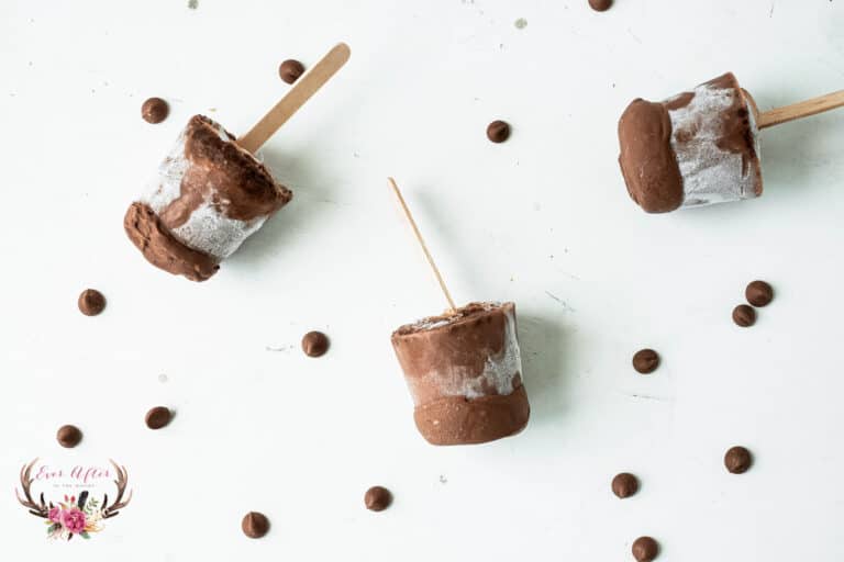 frozen pudding pops