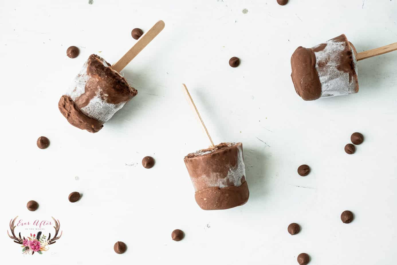 frozen pudding pops