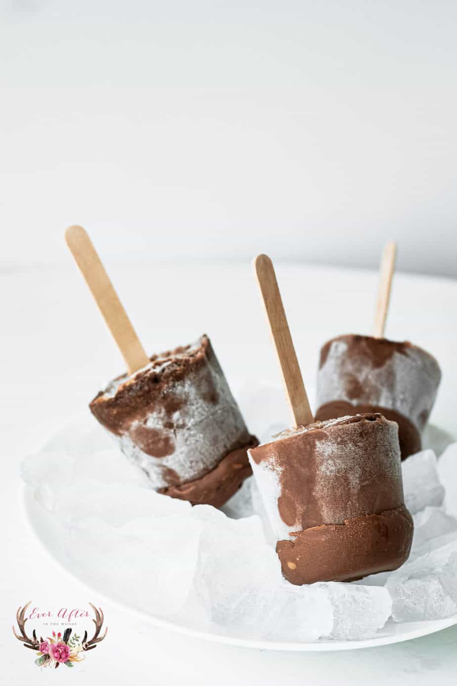 frozen pudding pops