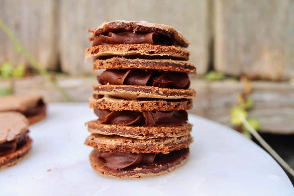 Hot chocolate sandwich cookies Ever After in the Woods