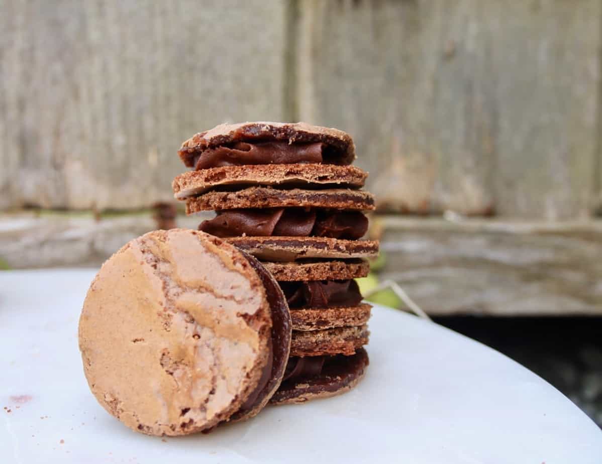 chocolate holiday cookies