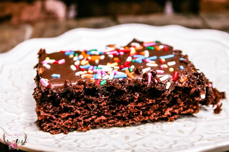 The Best Chocolate Texas Sheet Cake Recipe