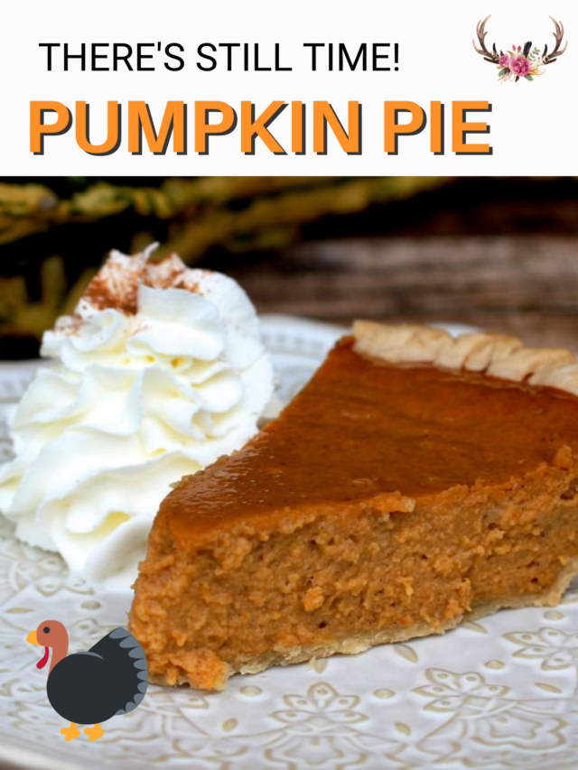 No-Fail Pumpkin Pie