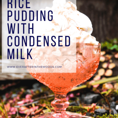 cropped-RICE-pudding-4.png