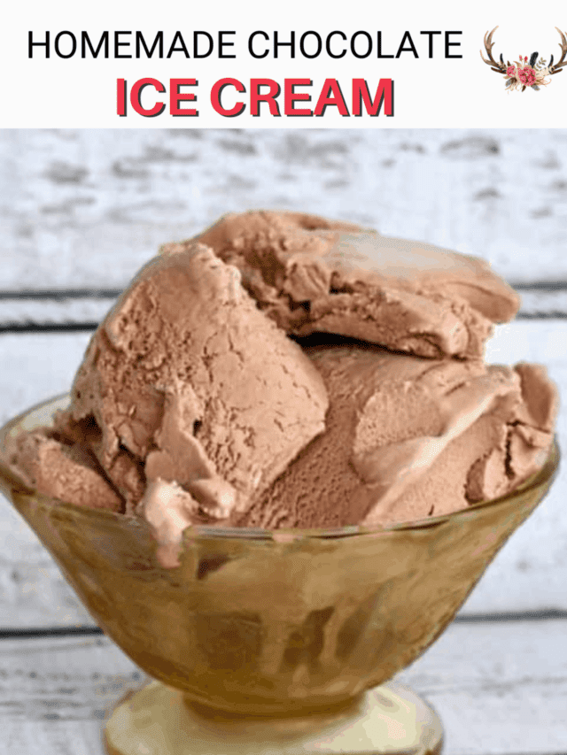 The Only Chocolate Ice Cream You Need