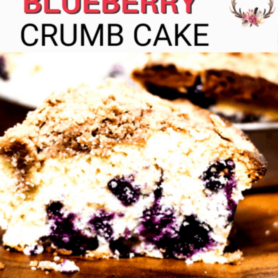 cropped-blueberry-crumb-cake.png