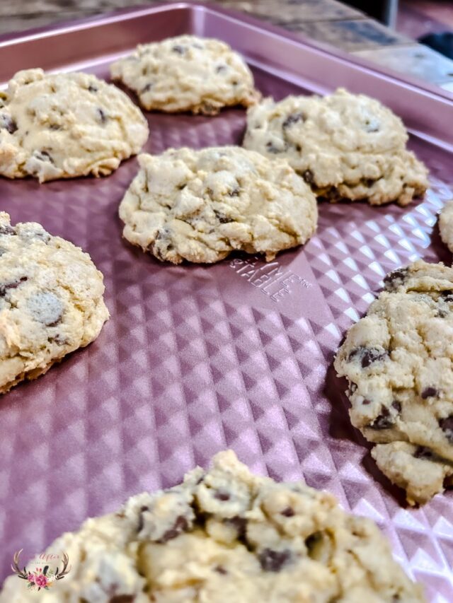 disney chocolate chip cookies