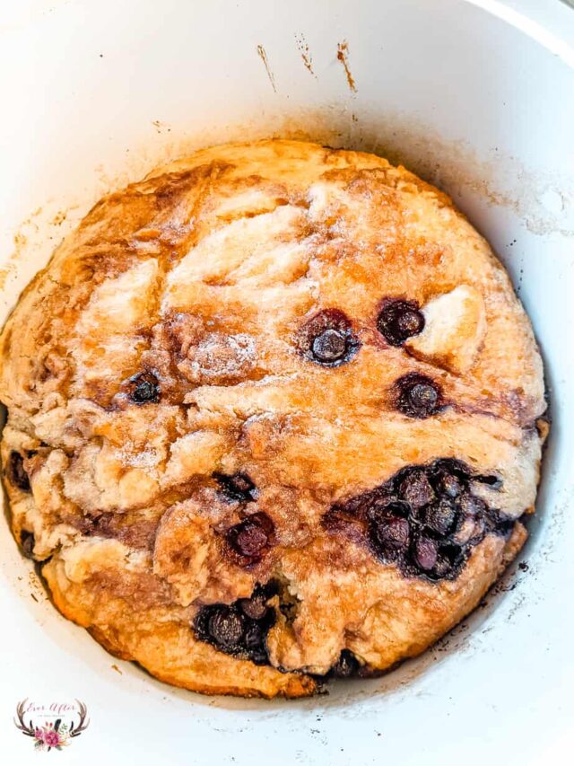 Homemade Blueberry Bread in a Dutch Oven