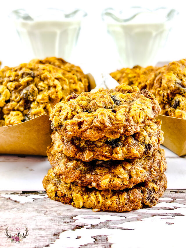 Oatmeal Chocolate Chip Cookies