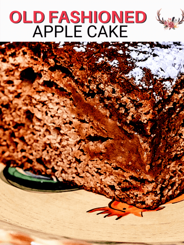 Old Fashion Apple Cake