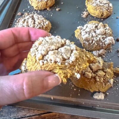 cropped-pumpkin-crumb-cookies-12.jpg