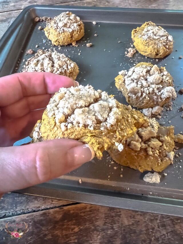 Pumpkin Coffee Cake Crumbl Cookies