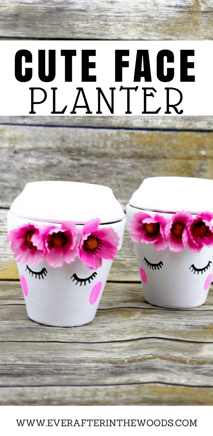 easy to make cute face planter | unique mothers day gifts |teacher gifts