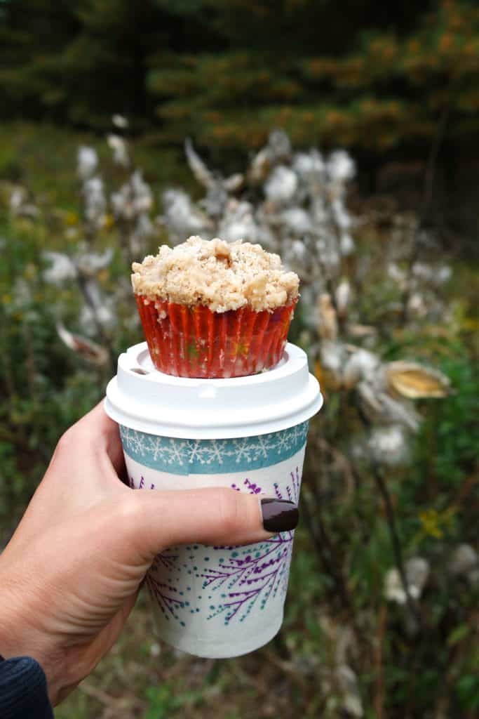 pumpkin fall crumb coffee cake muffin moist