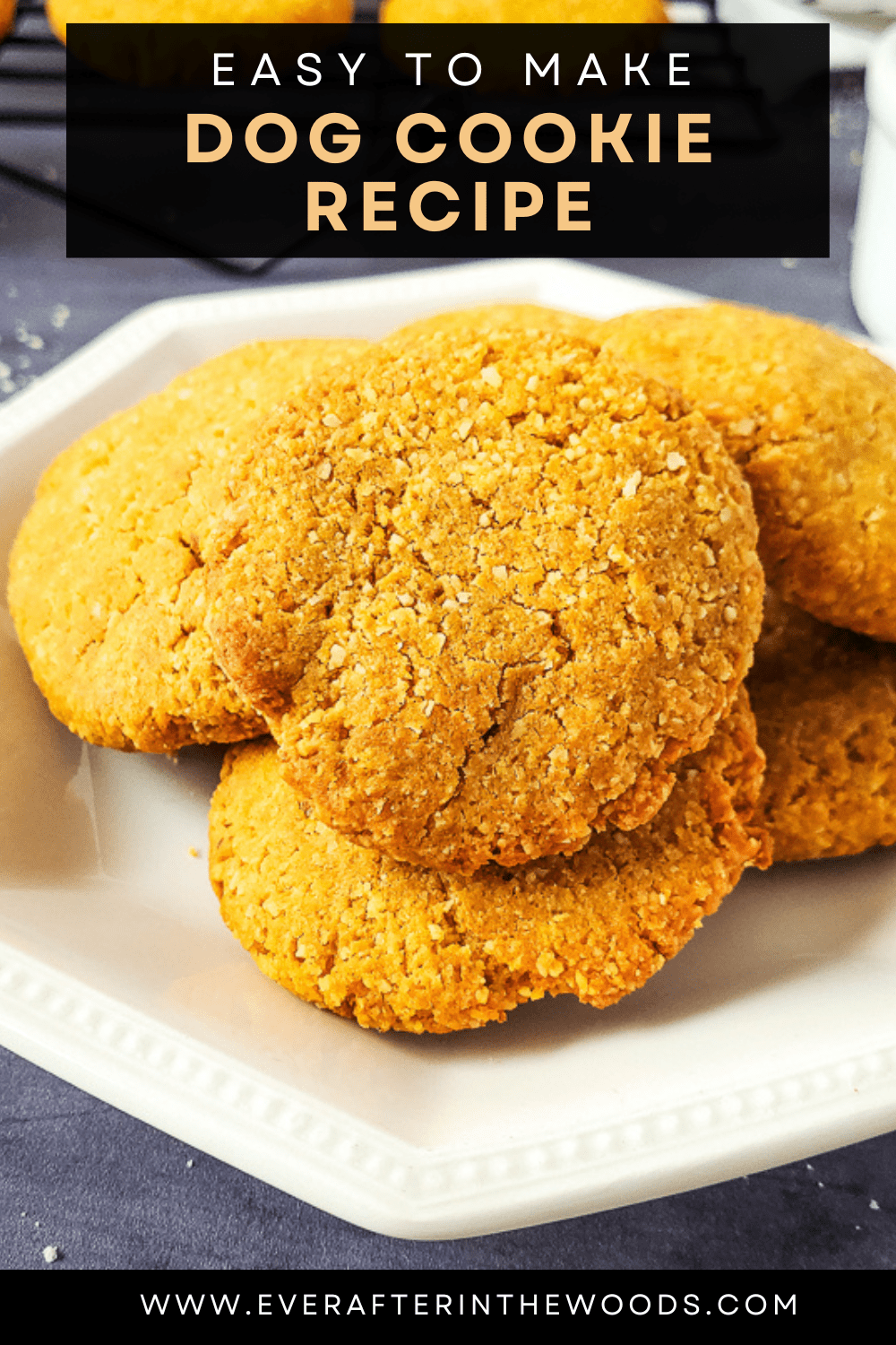 Dog Cookie Recipe Ever After in the Woods