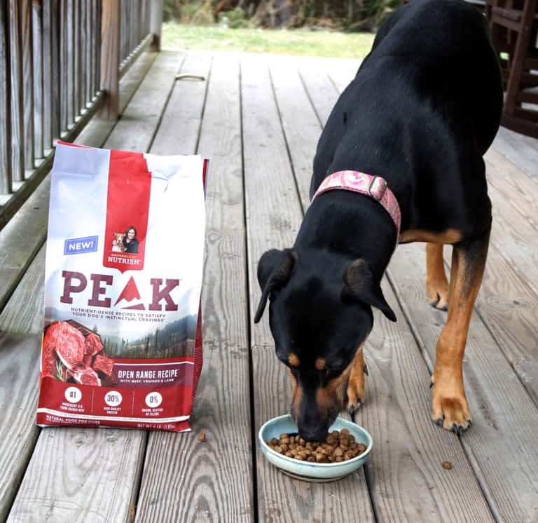 See How Our Dog’s Food Inspired this Venison Jambalaya Recipe