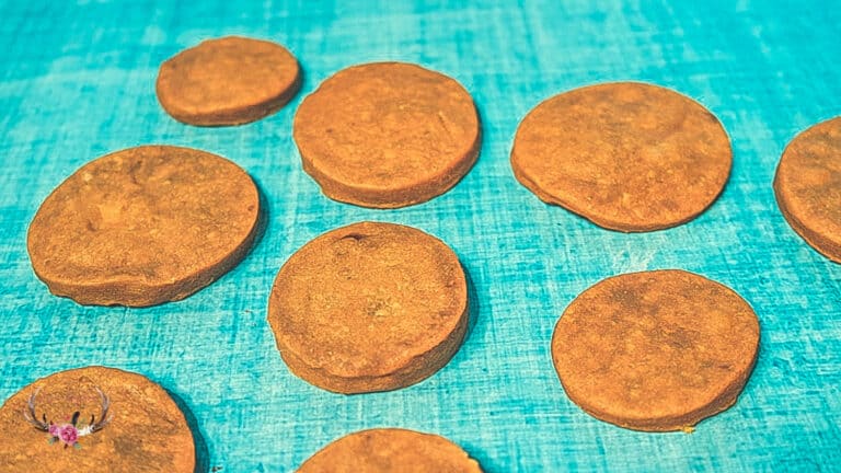 homemade dog treats