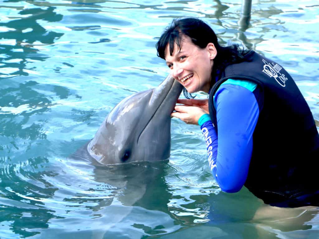 dolphin-cove-adventure
