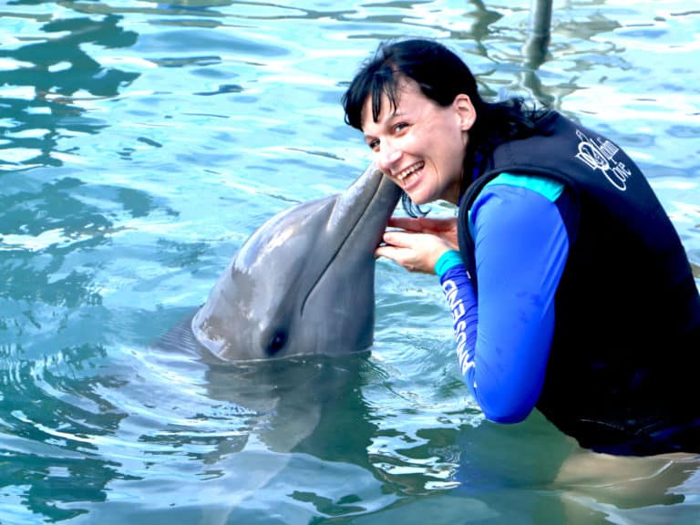 Why You Should Book a Dolphin Excursion at Beaches Negril