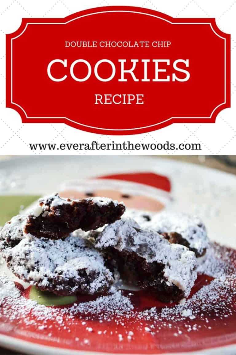 Best Double Chocolate Chip Cookie Recipe Ever Ever After in the Woods