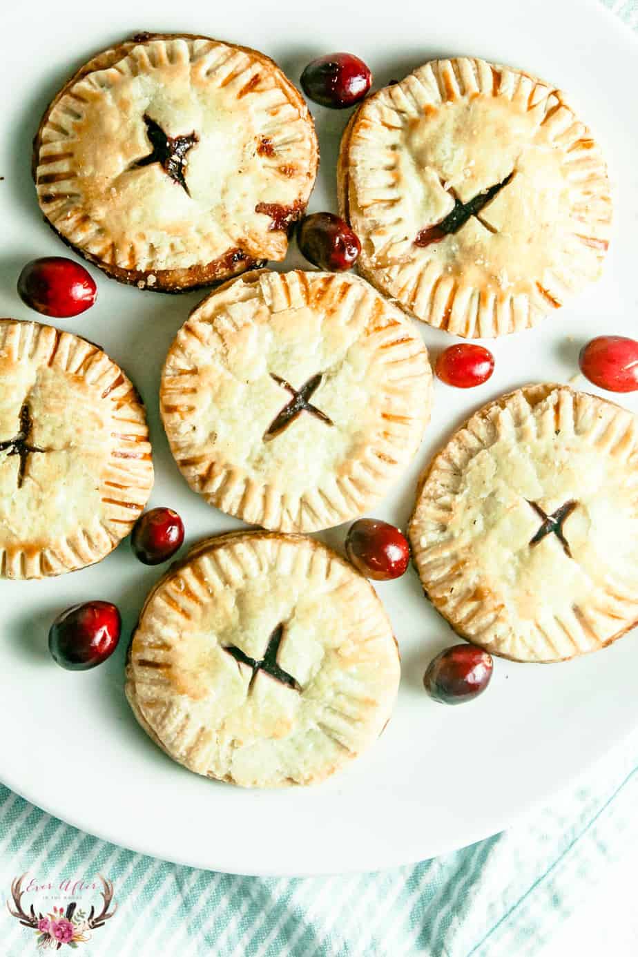 homemade cranberry pop tart | cranberry hand pie | breakfast treat