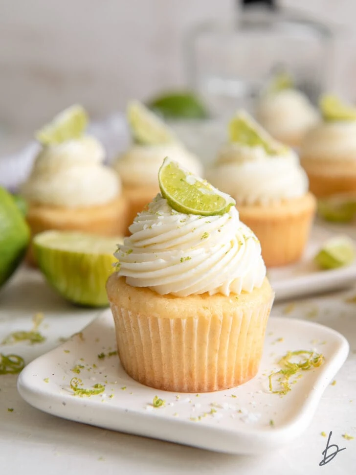 cinco de mayo party recipes