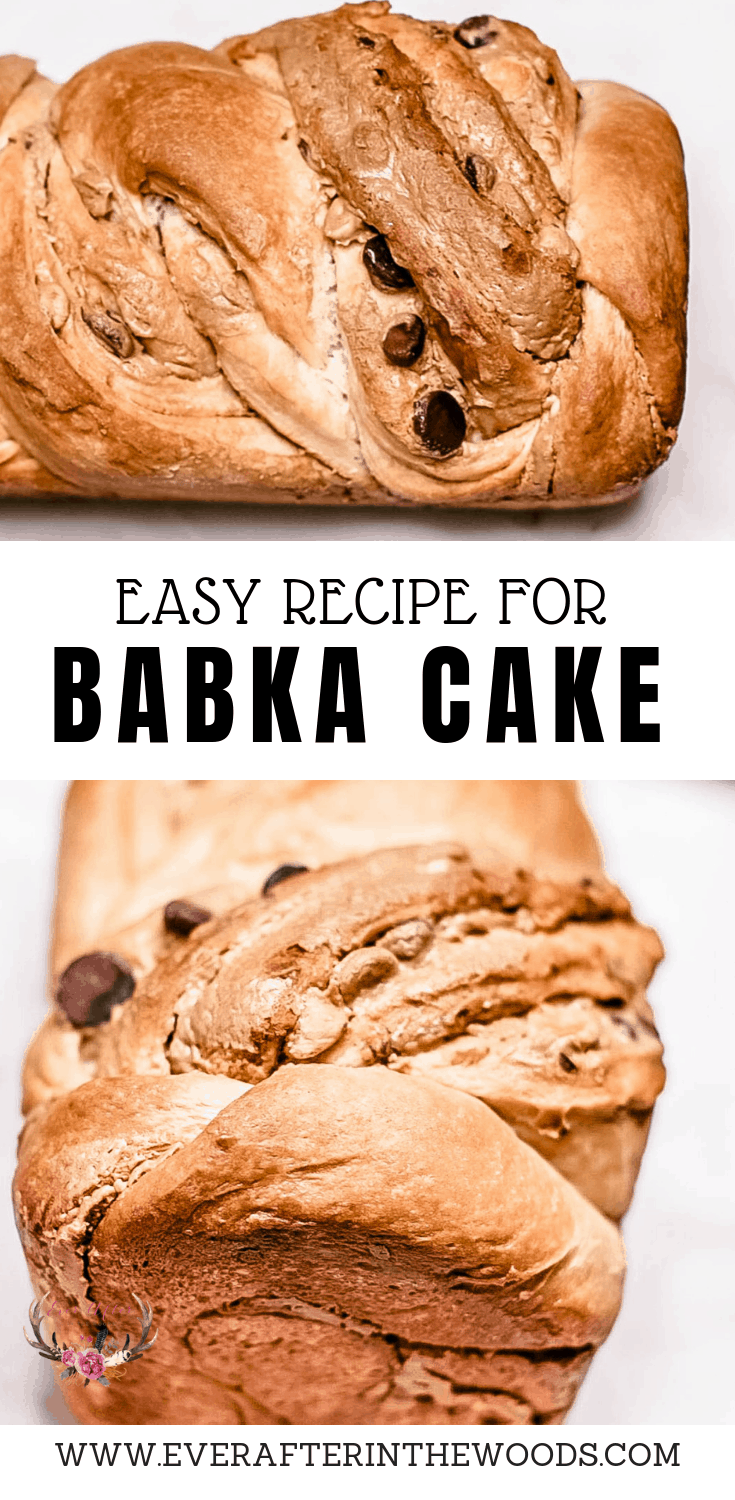 easy and perfect babka