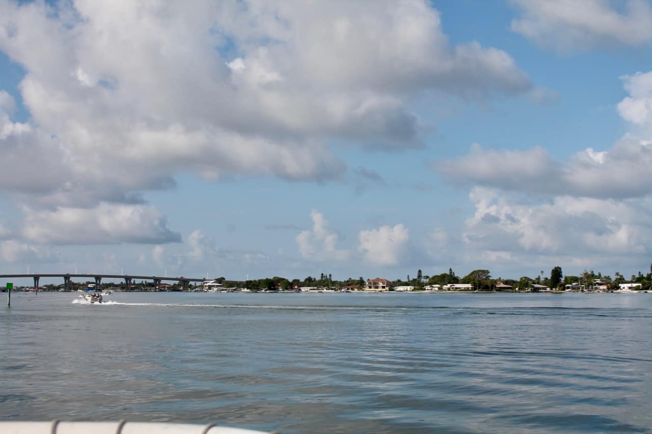 dolphin landings excursion