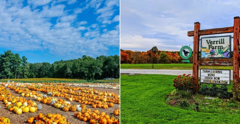 10 Massachusetts Farms Where Locals Go When Pumpkin Season Arrives